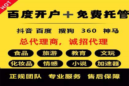 抖音信息流代理服务在旅游行业的应用实例
